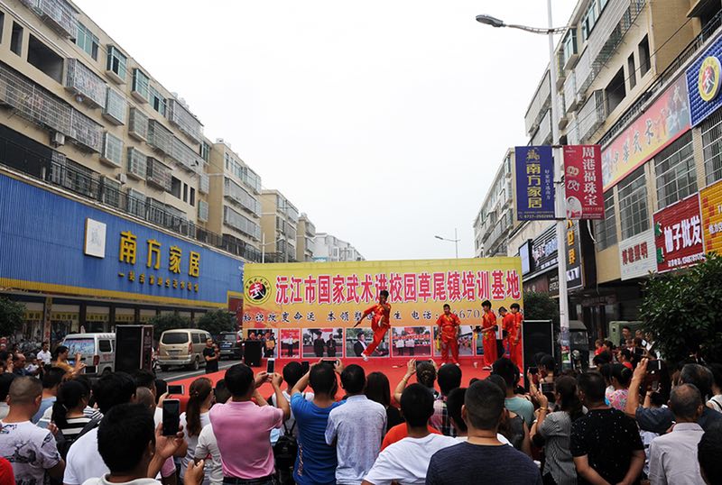 沅江市教育局,文广新局以及草尾镇联校负责人出席活动,沅江市国家武术