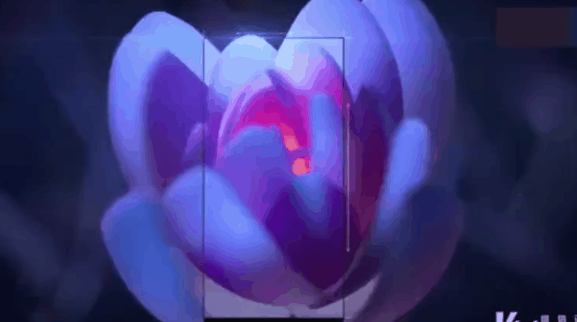 815_456gif 动态图 动图