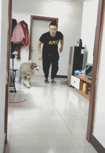 愚人节别人坑人,你坑狗,厉害了