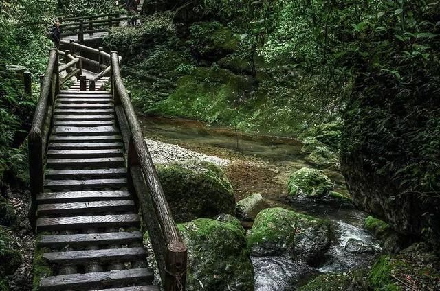 又一村至白云古寨3条索道,并保证游客游览安全;研究玉垒山至灵岩山