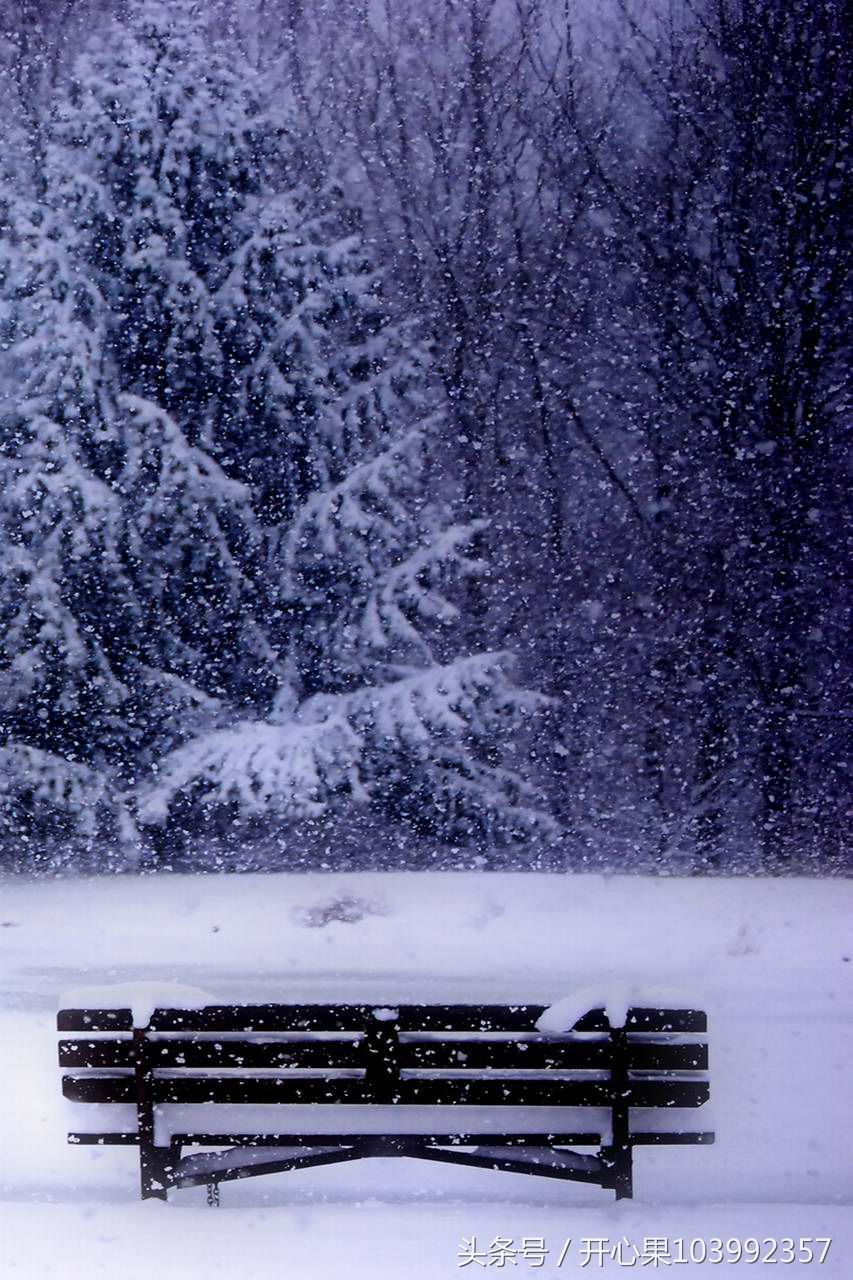 53张难得一见的雪景竖版图片,适合做手机壁纸!
