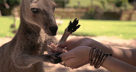 这是一个具有魔性的广告,看完就有种冲动的想法!