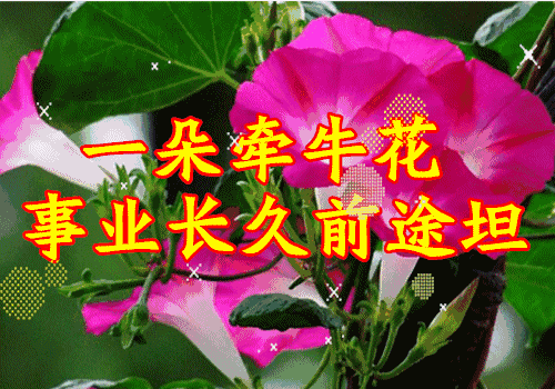 亿份祝福送给群主和群友 愿大家快乐,幸福!