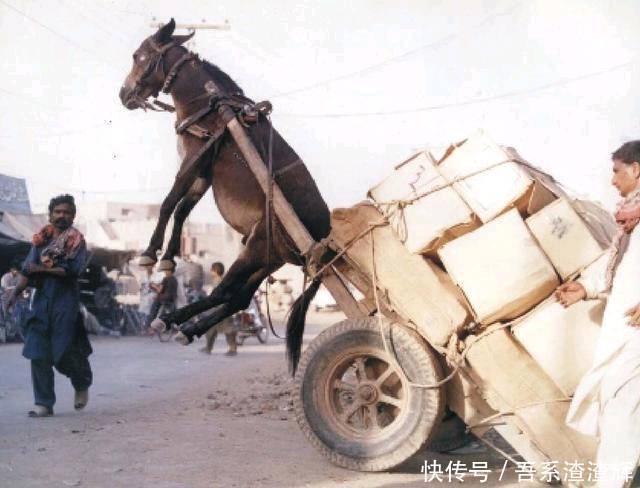 搞笑图片幽默段子笑话:兄弟你站起来啊,也太不像话了吧,哈哈哈