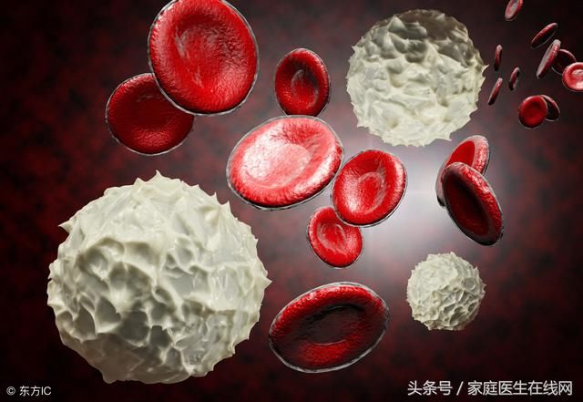 血液中白细胞过少,身体也会有这3个明显症状!别忽视了