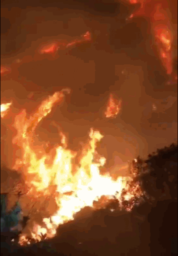 今晚8时许,途径凤凰山隧道的部分市民反映称,山上有火光冒出,在黑夜