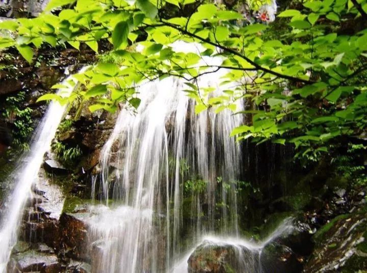 农庄依湖而建,四季风景都好,尤其四月间,更是到处都花红柳绿,姹紫嫣红