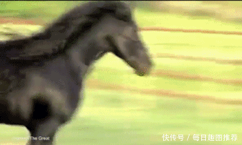 大家看看这马能换辆宝马730吗