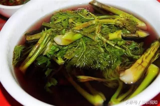 "山菜之王:一种隐藏在农村山间的美味,清明前后食用最佳!