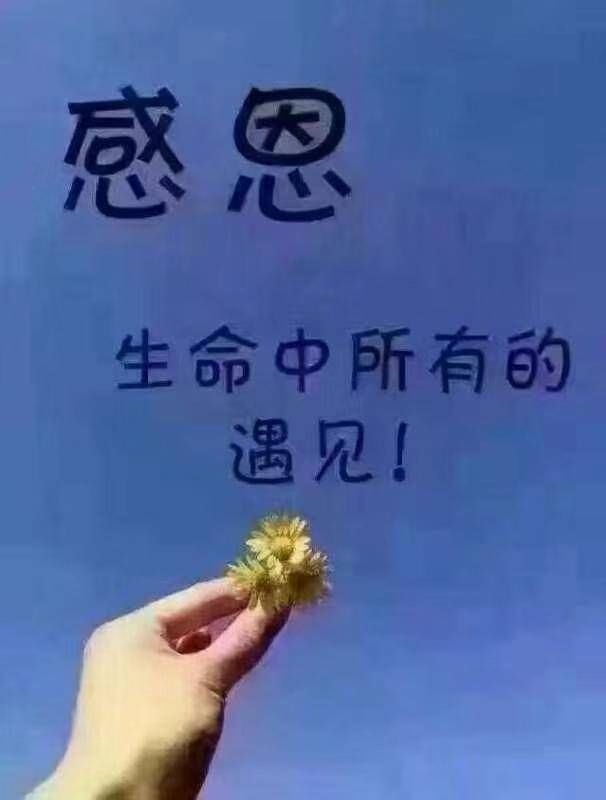 不懂感恩的人比狼更可怕!