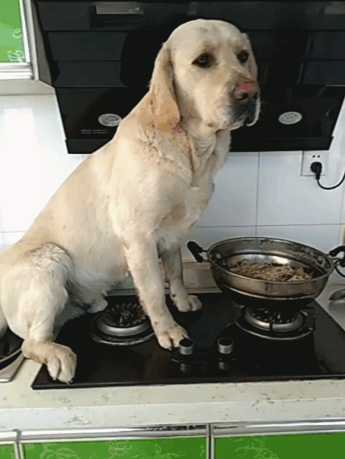 这美女好坑,这下屁股不知道被扎成啥样了!