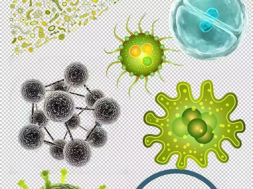 用开水烫碗筷真的可以杀灭细菌?真相竟然是