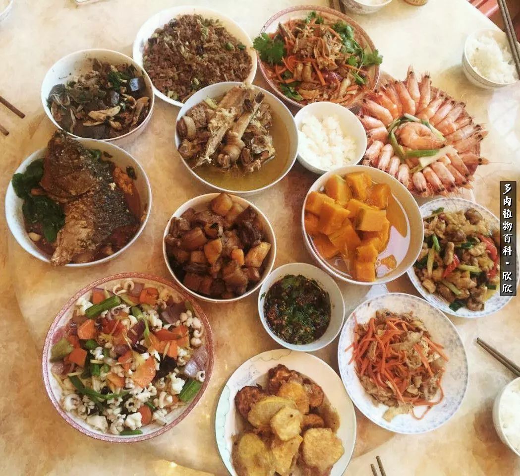 春节,多肉带你逛美食!