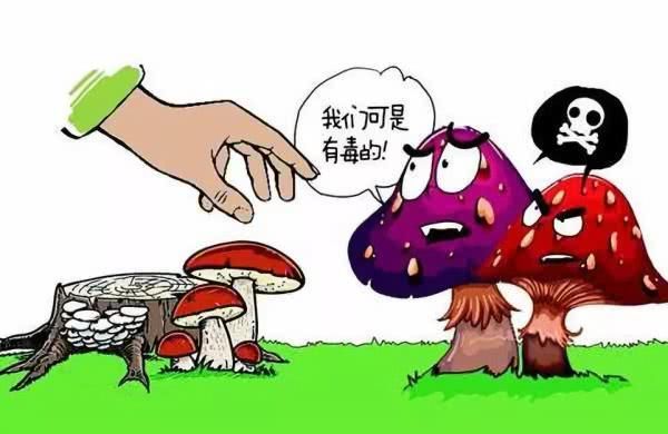 夏天4类食物最容易导致中毒,不小心中毒了咋办?