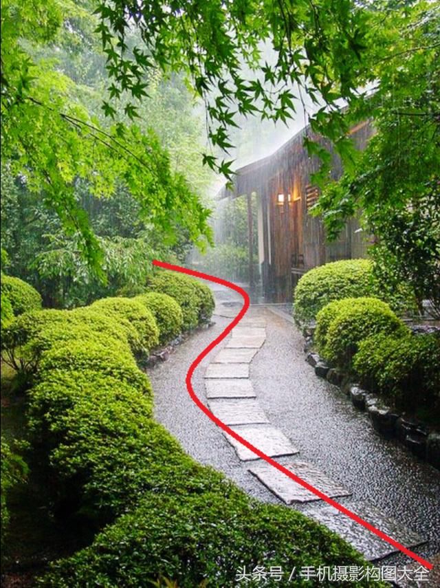 3,中间蜿蜒的小路,呈 s形曲线构图,伸向远方,远处没有被树遮挡之处