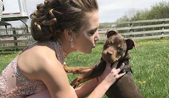 狗狗表情亮了!美女亲吻爱犬遭拒尴尬了 实力爆笑恶作剧真实上演!