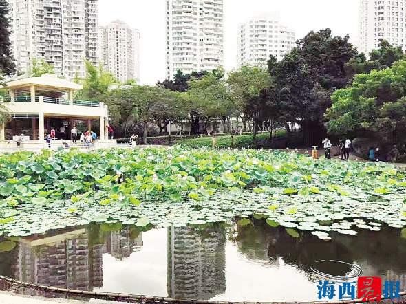 厦门莲花公园的池水哪去了 相关部门正在调查