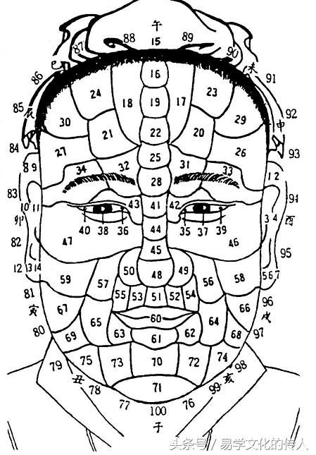面相揭秘:面相百岁流年图如何看财运?