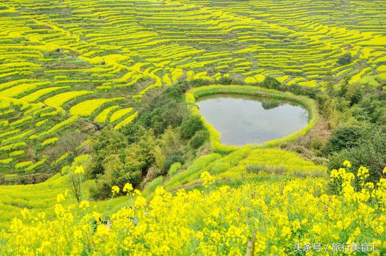 "最美乡村"江苏婺源篁岭的油菜花海和"篁岭模式"绝对独一无二