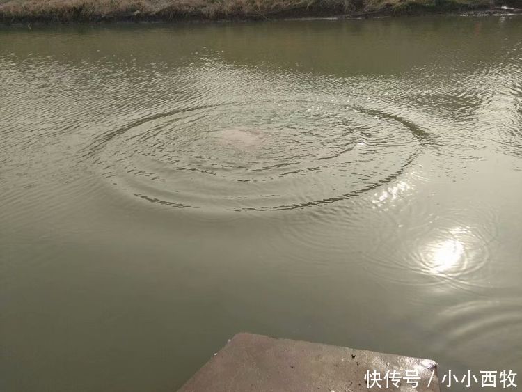 17岁女子到河边抓鱼,忽然水里伸出一只手,将她拖进了水里
