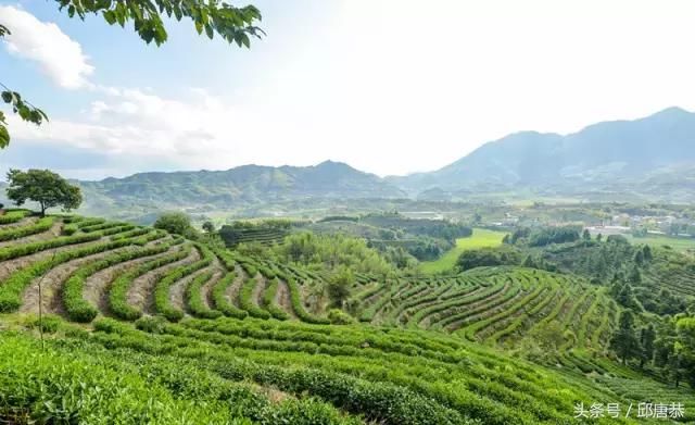 松溪县美丽乡村----茶平乡刘屯村_风景520 松溪县美丽乡村----茶平乡刘屯村