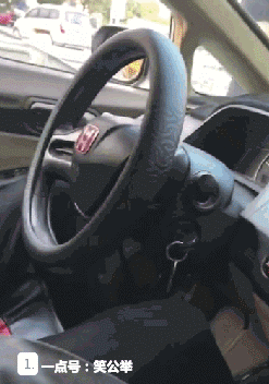 搞笑gif:动物园门票才二十块,本以为捡了便宜,可进去后就铝