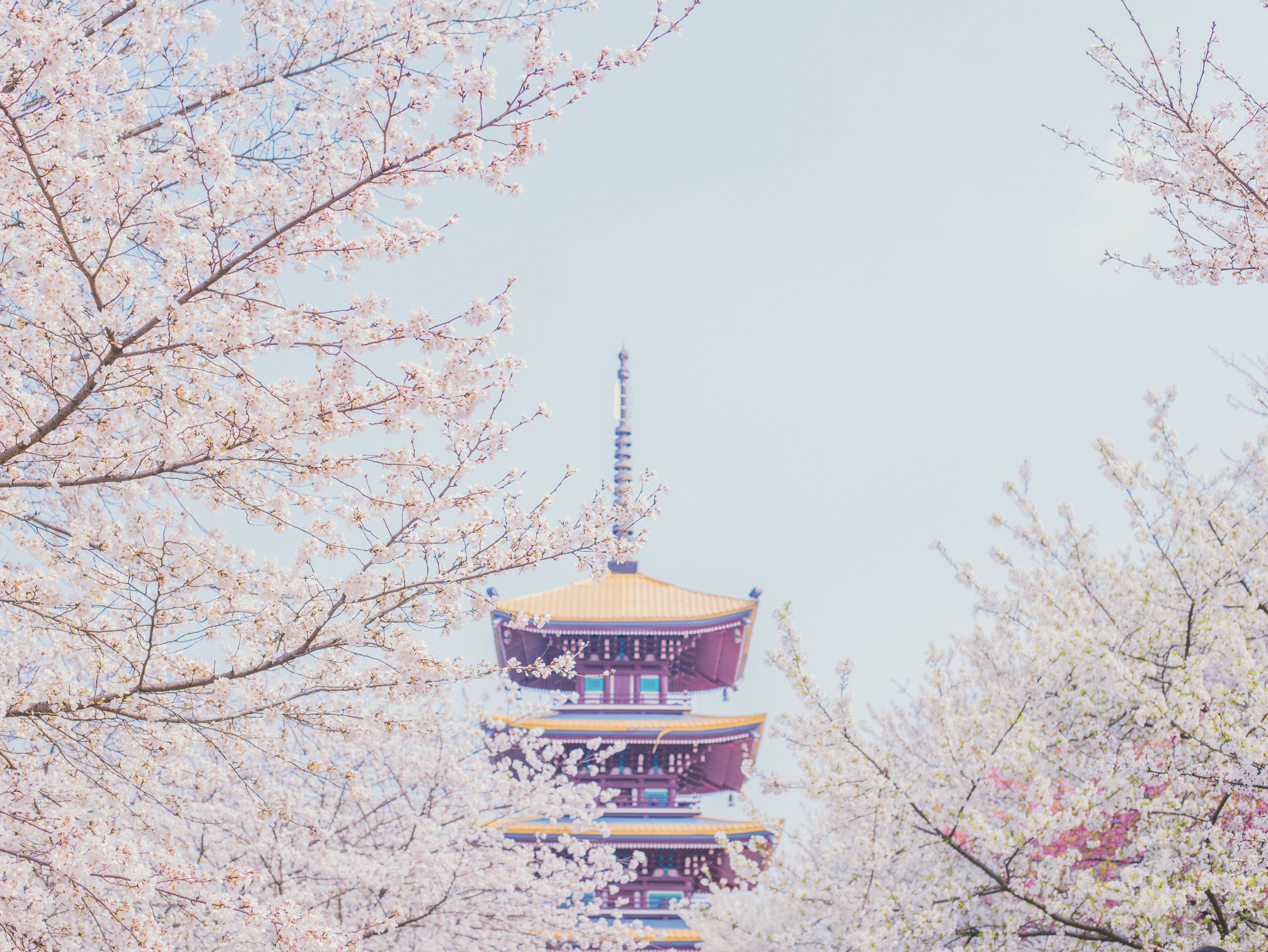 菜市场的GDP_菜市场简笔画(3)