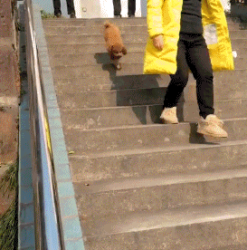 喝酒喝到这种境界,不得不服啊!