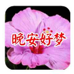 晚上好动态图片表情 晚安动态表情包