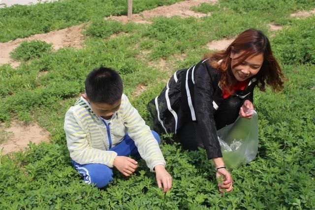 春来野菜香,来德百温泉挖野菜,品野菜宴吧