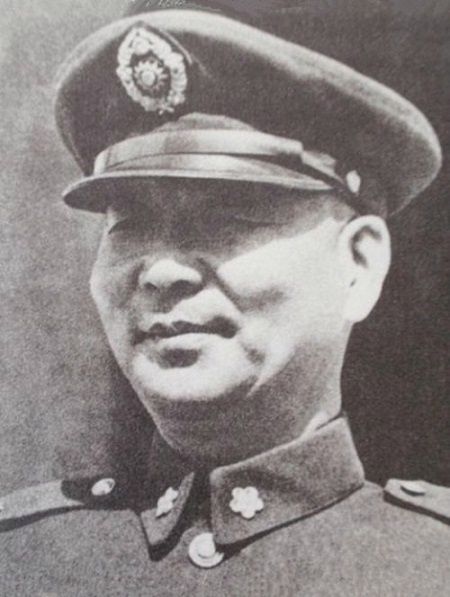 肖永银 胡琏图片