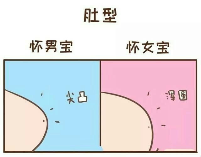 怀孕后,我们除了关心宝宝的健康,大概就是好奇肚子里的是男宝宝还是女