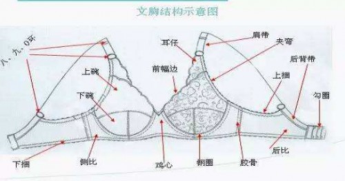 什么样的哺乳内衣好用 专业挑选方法公布