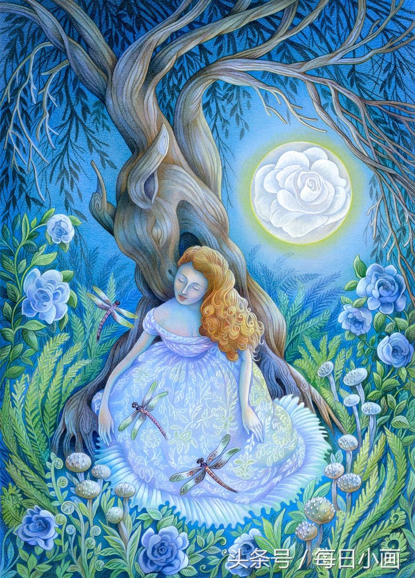 彩铅插画,美丽动人的色彩搭配,犹如童话般唯美