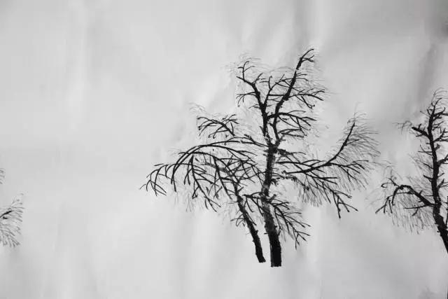 今天以《山居逢瑞雪》为例,讲一下柳树的雾凇画技法,希望可以互相交流