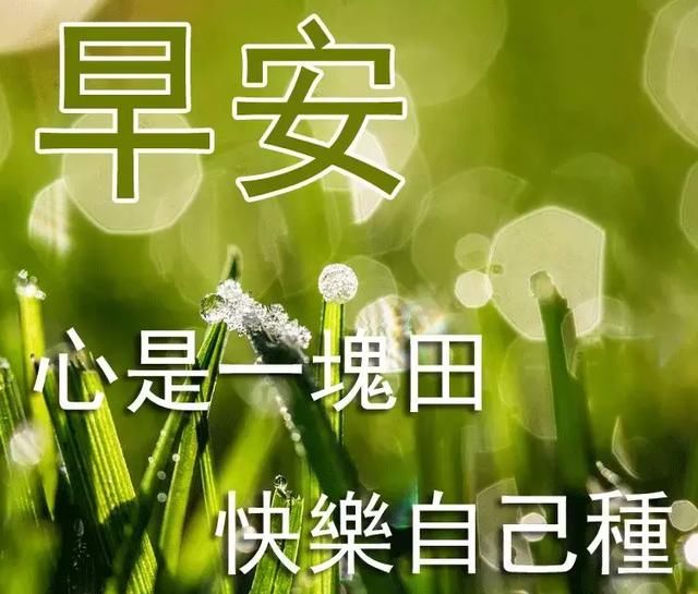 早安吉祥,轻轻的问候!深深的祝福!祝福陪伴,你定会开开心心!