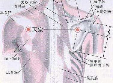 17,后溪 配申脉治疗癫痫白天发作者为最佳.