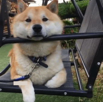 10,处于单身状态的你