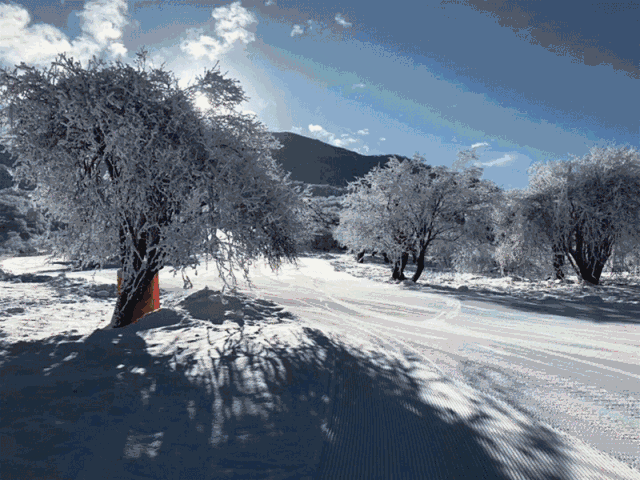 成都出发2天打来回,免费雪景还有最后2周啦!