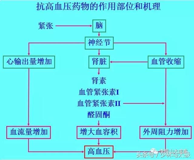 有高血压吗?咱用绝招来降压