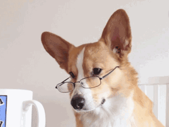 看完笑喷了哈哈哈哈哈哈哈哈哈