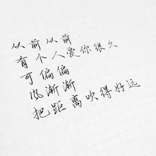 精辟走心的句子,她所有的不主动,只是不够喜欢你而已
