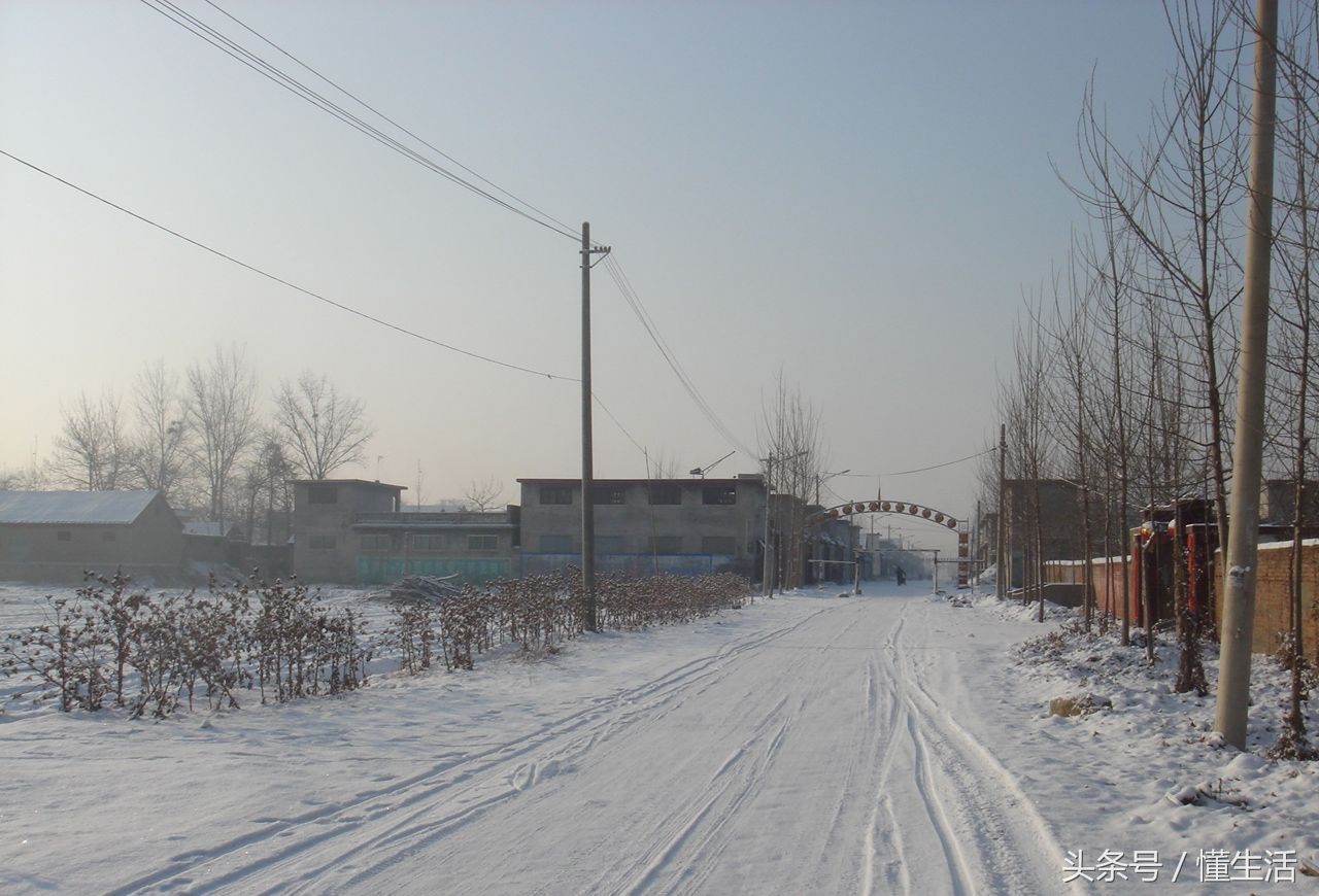 北方农村今年第一场雪,早上的场景实在太美,看完你想家了吗?