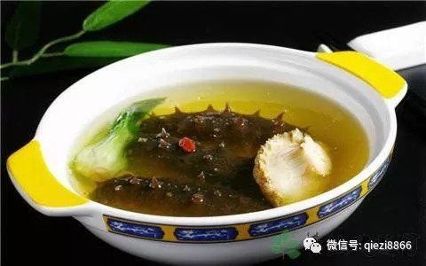 苦瓜海参的清炒和喧嚣,在这一盘张扬白色面前,也羞赧得低下头去鸡胗有层鲍鱼怎么去图片
