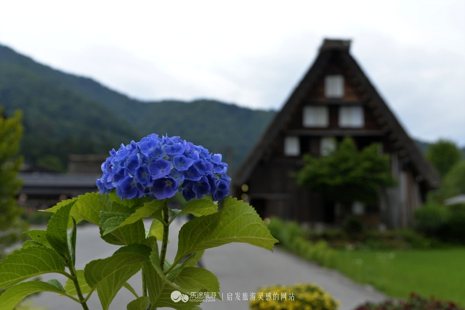 日本:白川合掌村,家家草屋开门见山