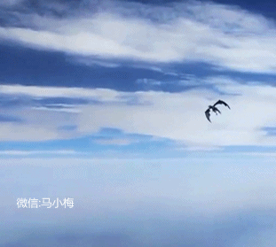背景 壁纸 风景 摄影 天空 桌面 311_279 gif 动态图 动图