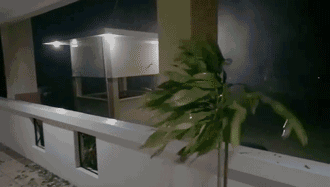 来看一组图片: 图片来源:wind天气