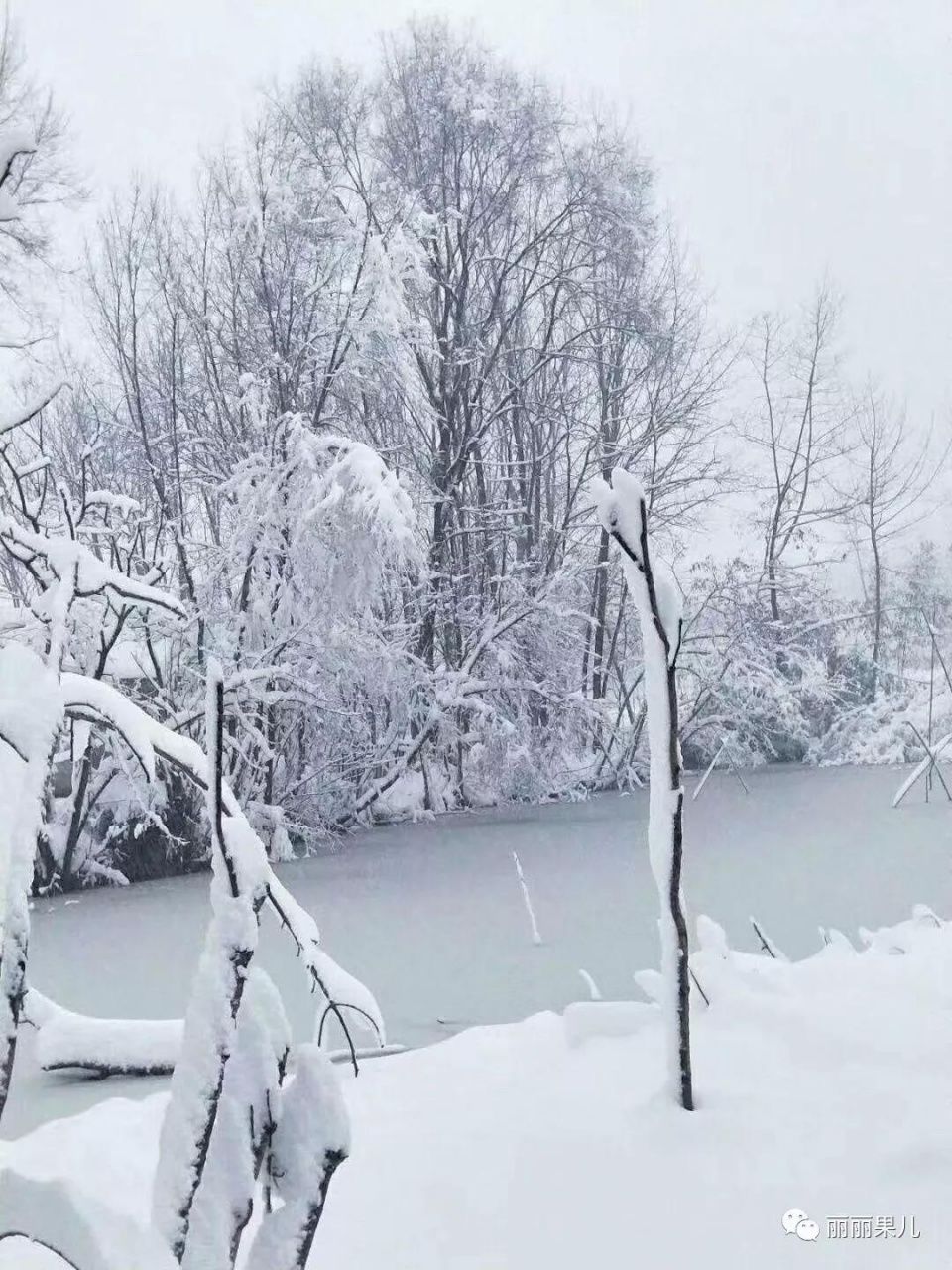 你在北方的大雪里堆着雪人,我在江南的烟雨里看破红尘