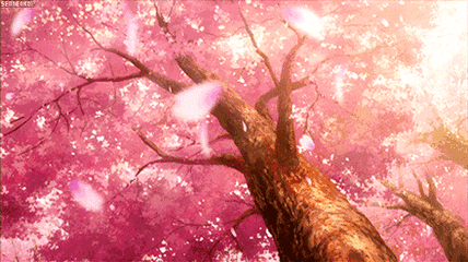 赏花最出名的应该就属日本的樱花,不过今日不讲樱花,咱们讲讲日本的