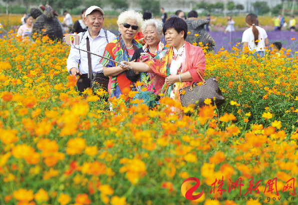 乡村特产展,花海基地赏花…今秋,我市要办乡村旅游节